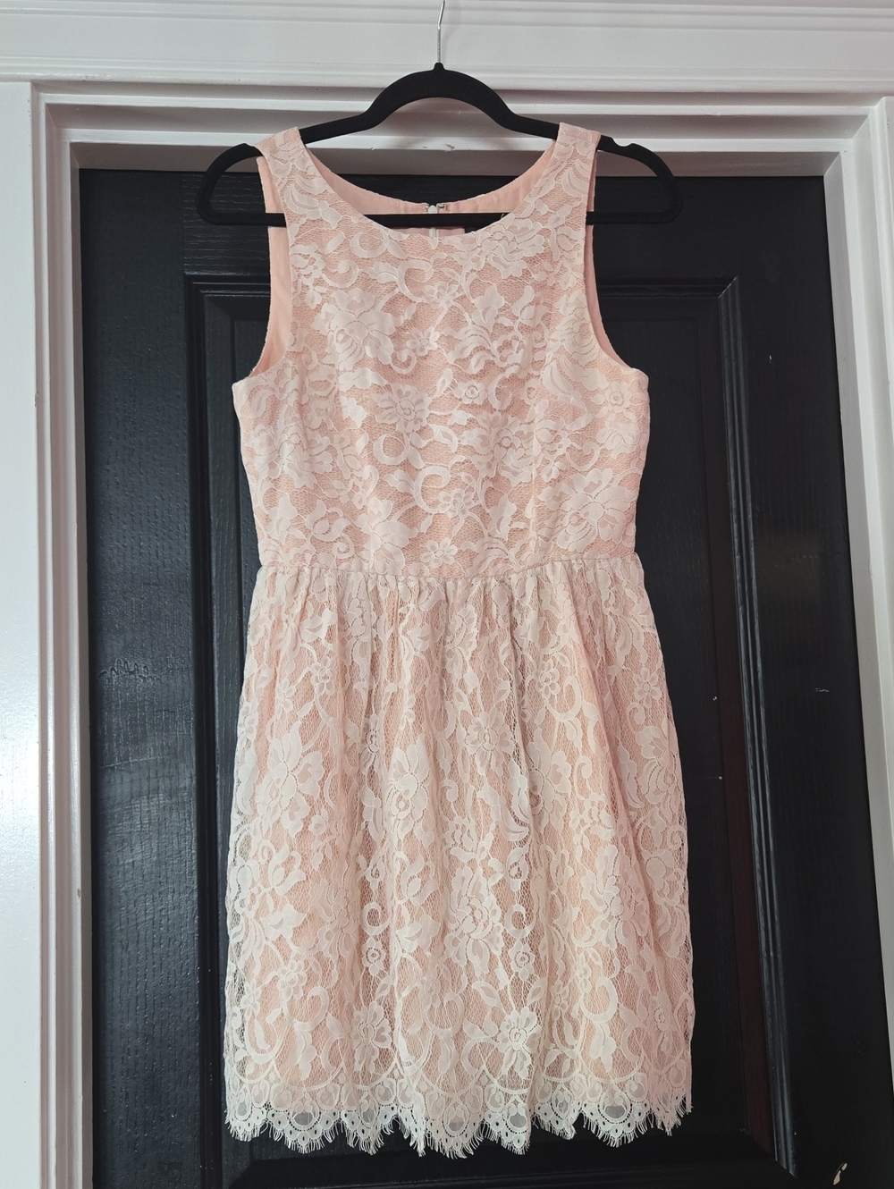 ABS By Allen Schwartz Pale Pink Lace Overlay Fit & Flare Sleeveless Dress Size 6